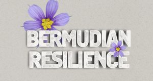 ‘Bermudian Resilience’ Bermudiana Flower Facebook, Twitter & Phone Screen #2