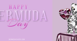 Crystal Bear Heart Happy Bermuda Day Facebook Cover & Phone Wallpaper