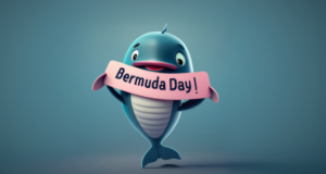 Bermuda Day Dolphin Facebook Cover & Phone Wallpaper