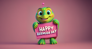 Happy Bermuda Day Turtle Facebook Cover & Phone Wallpaper