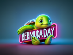 Bermuda Day Turtle Facebook Cover & Phone Wallpaper