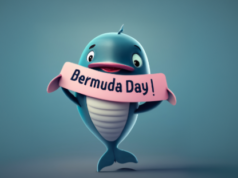 Bermuda Day Dolphin Facebook Cover & Phone Wallpaper
