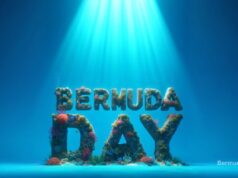 Bermuda Day Under The Sea Facebook Cover & Phone Wallpaper